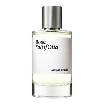 Rose Saltifolia E.D.P. Nat. Spray