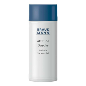 BRAUKMANN Attitude Dusche