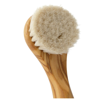 Face Brush