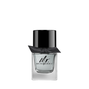 Mr. Burberry EdT Nat. Spray
