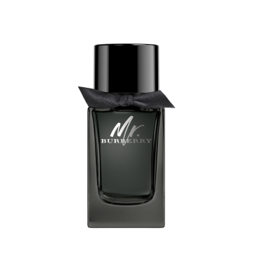 Mr. Burberry EdP Nat. Spray