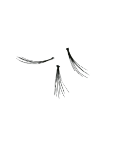 Dauerwimpern