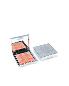 Highlighter Blush