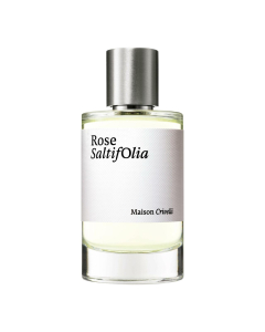 Rose Saltifolia E.D.P. Nat. Spray