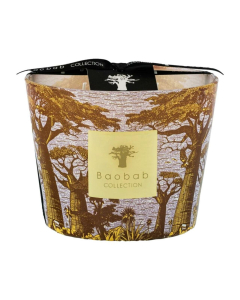 Candle Max 10 Sacred Trees Cocody