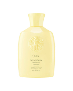 Hair Alchemy Resilience Shampoo Travel