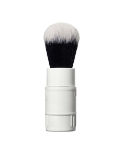 Click-In Brush
