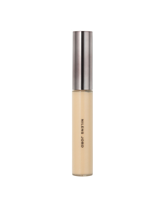 Silky Skin Full Coverage Concealer