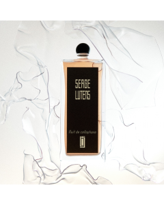 Nuit de Cellophane Eau de Parfum Flacon