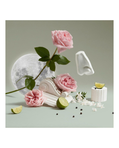 Luna Body & Hand Lotion