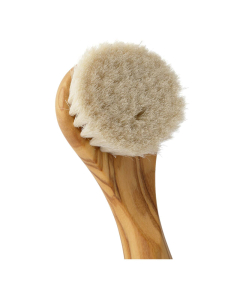 Face Brush