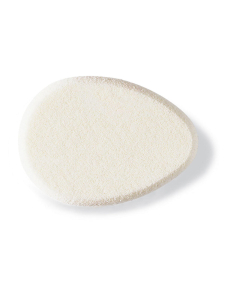 Yukilonschwämmchen Oval
