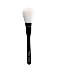 Face Brush