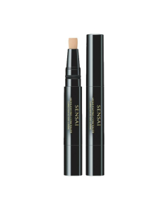 Highlighting Concealer
