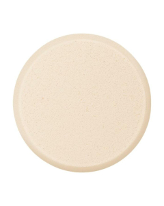 Foundation Sponge