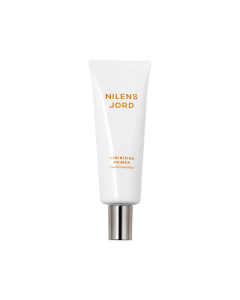 Luminizing Primer